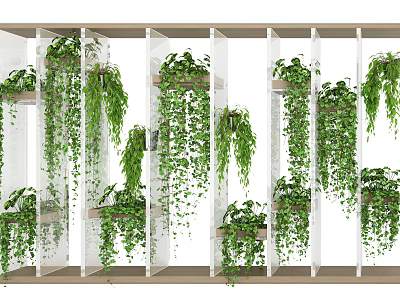 Elegant Hanging Bonsai Potted Plants On Transparent Dividers With Green Vines 3d model