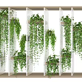 Elegant Hanging Bonsai Potted Plants On Transparent Dividers With Green Vines