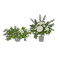 Fresh White Roses And Hydrangeas Arrangement In Glass Vases With Green Eucalyptus Foliage