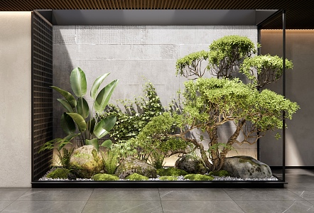 Modern indoor plants landscape sketch courtyard sketch landscape tree stone moss 3d model