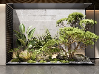 Modern indoor plants landscape sketch courtyard sketch landscape tree stone moss 3d model