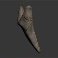 Fossilized Triangular Tooth With Brown Red Texture And Glossy Base On Dark Background