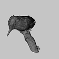 Realistic Woodpecker Taxidermy Specimen Perched On Natural Branch