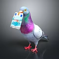 Gray White Pigeon With Purple Green Neck Holding Euro Banknote In Beak
