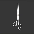 Professional Stainless Steel Scissors with Precision Blade Ergonomic Handle on Dark Reflective Surface