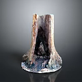 Tree Stump With Natural Weathered Wooden Texture On Smooth Black Surface