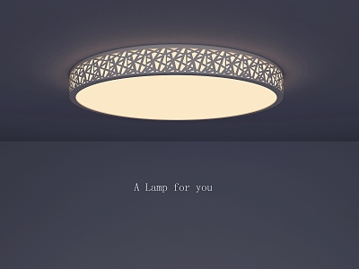 Round ceiling lamp taobao 3d model