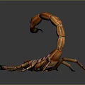 Close Up View Of Striped Scorpion With Curled Tail And Shiny Exoskeleton On Dark Background
