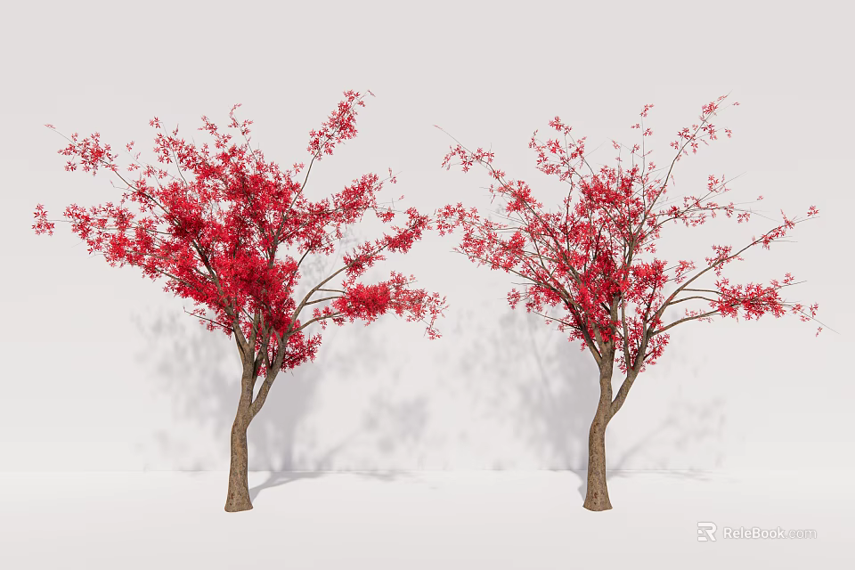 Two Arbor Trees With Red Blossoms And Brown Trunks In White Setting 3d model