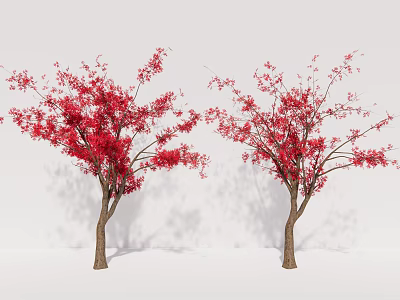 Two Arbor Trees With Red Blossoms And Brown Trunks In White Setting 3d model