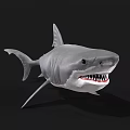 Gray Shark With Open Mouth And Sharp Teeth As Aquatic Animal 3d model