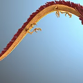 Golden Red Dragon With Long Serpentine Body Flying In Light Blue Sky
