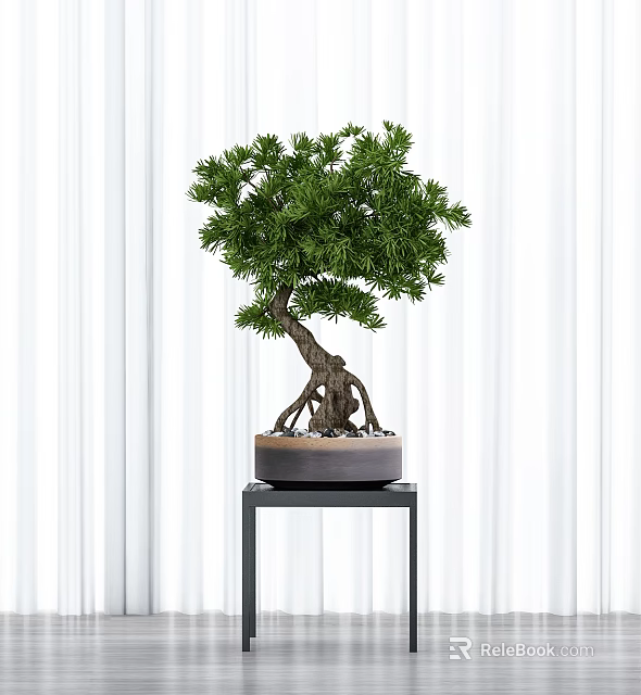 Bonsai Tree With Green Foliage And Exposed Roots Placed On Black Stand Against White Curtain 3d model 