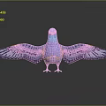 Blue Purple Pigeon With Spread Wings On Black Surface With Reflection And Gray Gradient Background 3d model