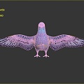 Modern pigeon flat pigeon bird bird 3d model