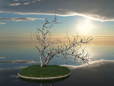 Dead Bush On Round Island With Calm Water Cloudy Sky Sun And Reflection 3d model