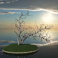 Dead Bush On Round Island With Calm Water Cloudy Sky Sun And Reflection