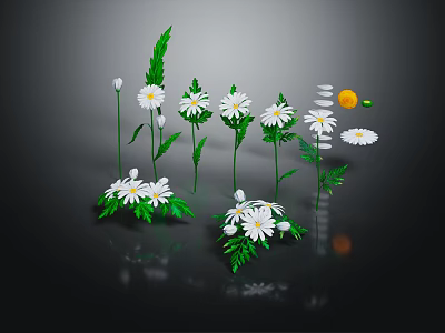 White Daisies with Green Leaves in Fresh Plant Arrangement on Reflective Surface 3d model