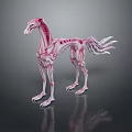Skinny Horse Like Game Movie Character With Red White Muscle Texture And Skeletal Features
