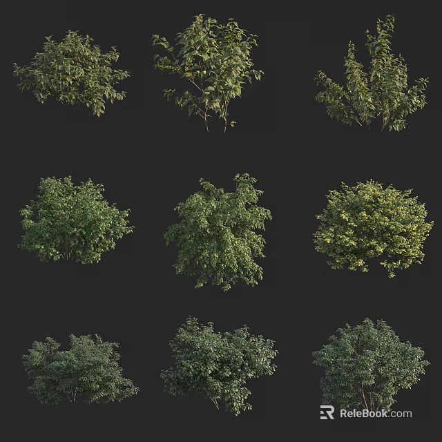 Various Green Shrubs With Diverse Leaf Shapes And Natural Foliage 3d model 