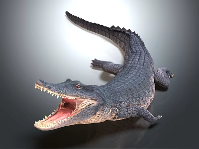 Aquatic Animal Crocodile With Open Mouth Sharp Teeth Scales And Swimming Stance 3d model