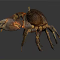 Detailed Realistic Crab With Large Claws And Brown Orange Shell On Dark Background