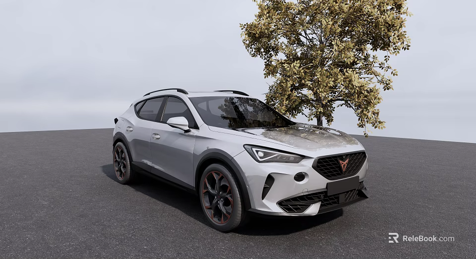 Silver Crossover SUV Parked Next to Tree on Gray Ground Under Sky 3d model 