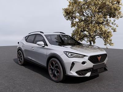 Silver Crossover SUV Parked Next to Tree on Gray Ground Under Sky 3d model