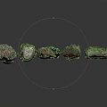 Green Plants Growing On Various Shaped Stones With Diverse Sizes And Textures