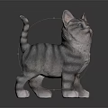 Cute Striped Kitten Standing Pose With Gray Fur And Pink Paws