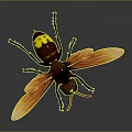 Giant Bee With Orange Wings Brown Body Yellow Stripes And Yellow Green Eyes