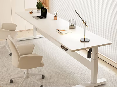 Modern White Height Adjustable Desk and Rolling Office Chairs with Laptop Pen Holder Green Plant 3d model