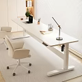 Modern White Height Adjustable Desk and Rolling Office Chairs with Laptop Pen Holder Green Plant