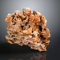 Natural Coral Formation With Brown Beige Porous Texture And Irregular Shape On Dark Background