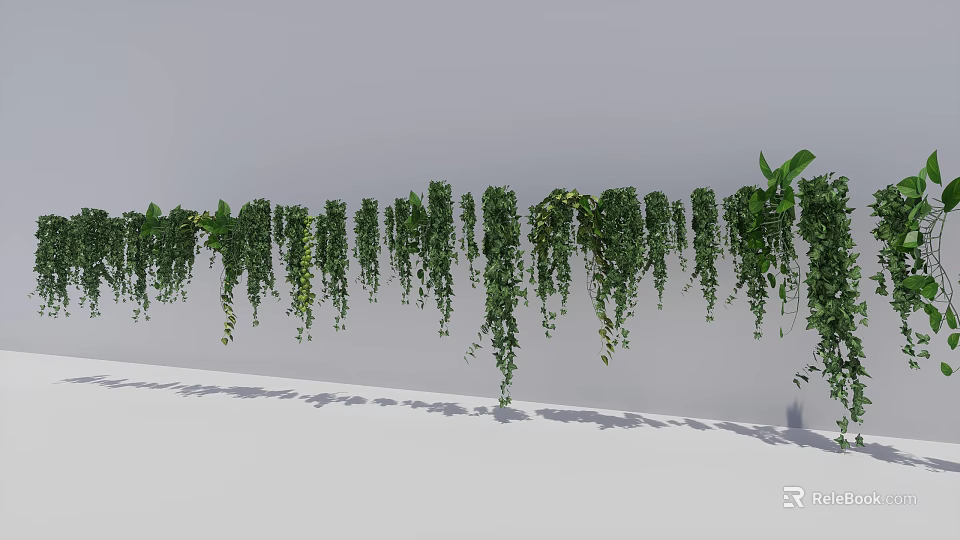 Hanging Basket Plants With Trailing Green Vines For Indoor Wall Decor 3d model 