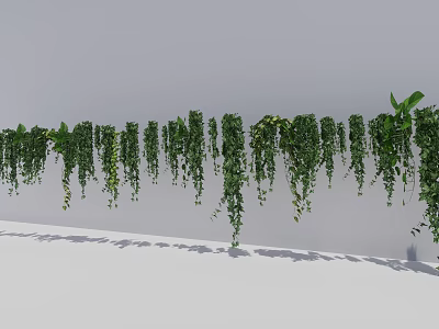 Hanging Basket Plants With Trailing Green Vines For Indoor Wall Decor 3d model