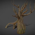 Dry Withered Tree With Twisted Trunk Bare Branches And Rough Bark 3d model
