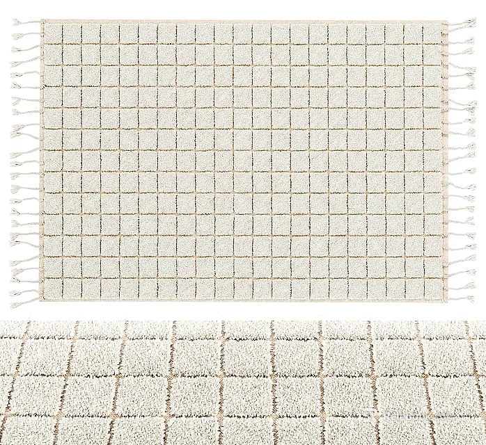 Square Area Rug With Grid Pattern Light Color And Fringed Edges 3d model