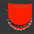 Dental Jaw Model With Red Base And White Artificial Teeth Structure