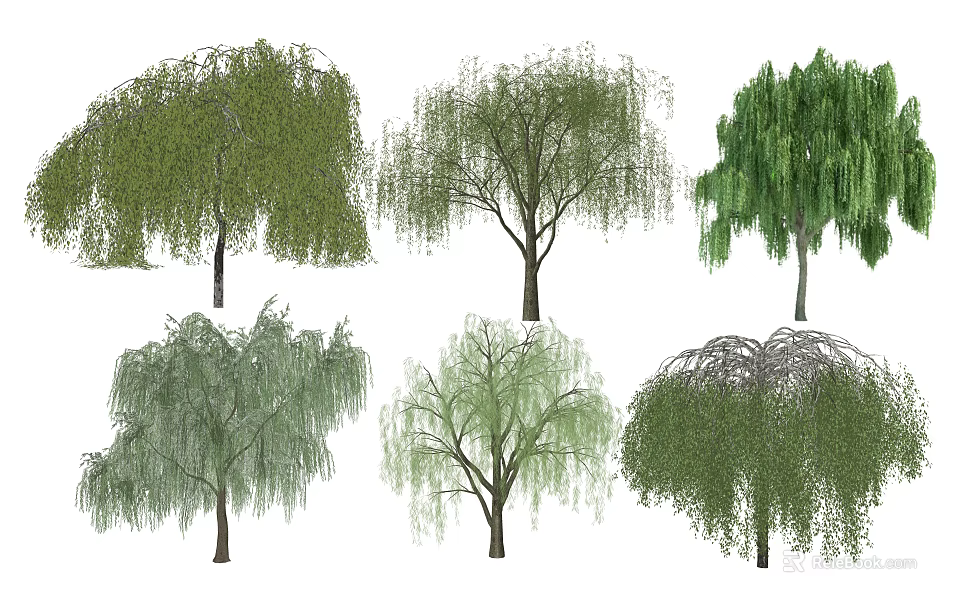 Various Forms of Weeping Willow Trees with Green Foliage and Hanging Branches 3d model 