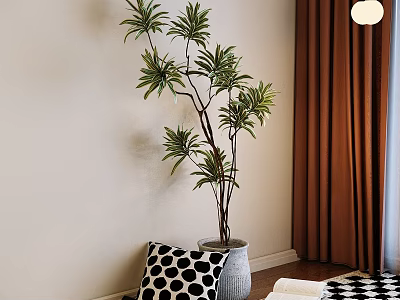 Tall Leafy Bonsai Plant in Gray Ceramic Pot With Brown Curtains And Polka Dot Pillow 3d model