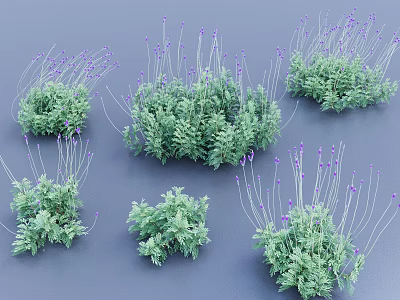 Green Herb Plants With Purple Small Flowers In Clustered Natural Growth 3d model