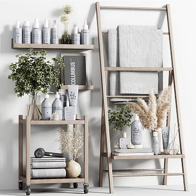 Neat Laundry And Daily Use Display With Toiletries Towels And Plants 3d model