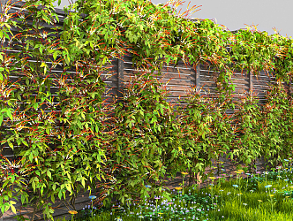 Modern Vine Climbing Vine 3d model