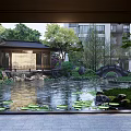 Tranquil Residential Landscape With Lush Greenery Diverse Trees Stone Pathway Rock Formations And Small Pond