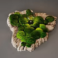 Natural Moss Decorative Wall Lamp With Rock Base And Light Bulb