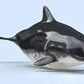 Realistic Orca 3D Model With Black And White Sleek Shiny Surface On Light Blue Background