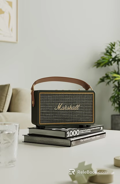 Living Room Interior With Marshall Speaker On Books Sofa And Potted Plant 3d model 