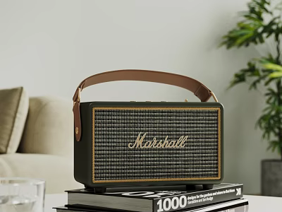Living Room Interior With Marshall Speaker On Books Sofa And Potted Plant 3d model
