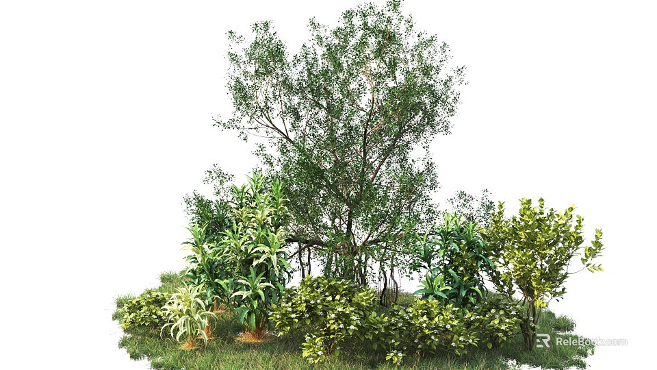Lush Green Shrubs in Garden with Diverse Plants and Foliage 3d model 